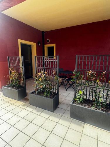 a group of plants in pots against a red wall at Residence Stella Dell'Est in Bari Sardo