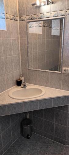 a bathroom with a sink and a mirror at Penzion Bara in Přední Výtoň