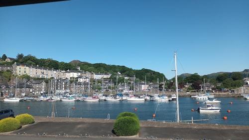 a bunch of boats are docked in a harbor at 2 Bedroom Harbour Apartment in Porthmadog