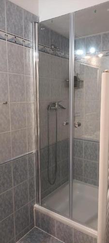 a shower with a glass door in a bathroom at Penzion Bara in Přední Výtoň