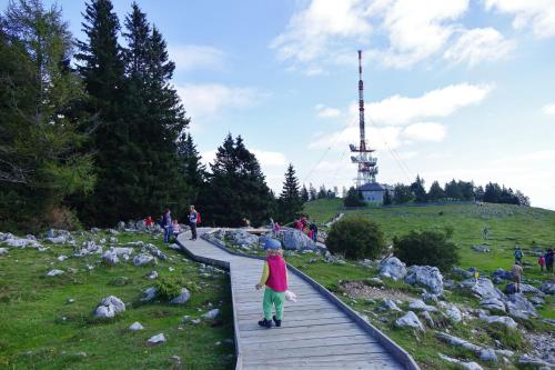 a child walking on a boardwalk in a park at Ferienwohnungen Perhofer in Birkfeld