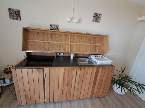 una cocina con fregadero y encimera en Studio le Ti coin Charmant, en Saint-Joseph