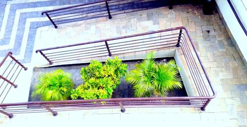 Jardín al aire libre en Hotel Eden