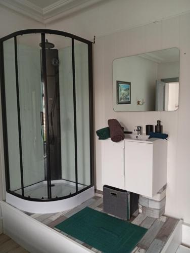 a bathroom with a glass shower and a sink at L'immeuble de Didier et Fabien in Guînes