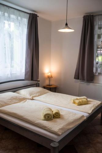 Postel nebo postele na pokoji v ubytování Penzion Eden