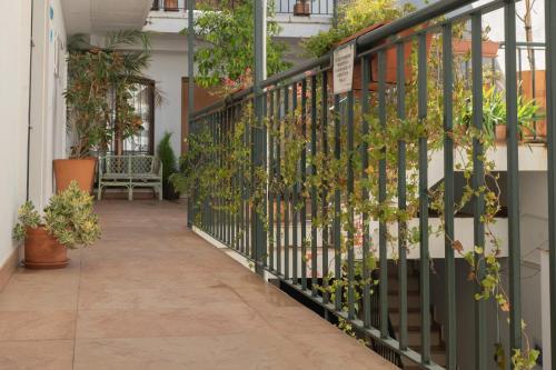 Zahrada ubytování Apartamento céntrico con Parking
