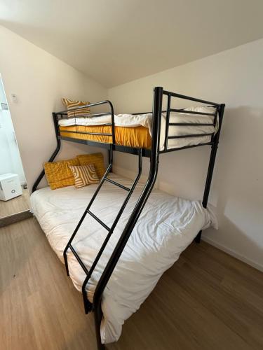 a bedroom with two bunk beds in a room at La maisonnette confort de Tari et Nicolas in Juillan