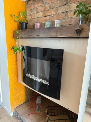 a fireplace with a shelf above it with plants at La maisonnette confort de Tari et Nicolas in Juillan