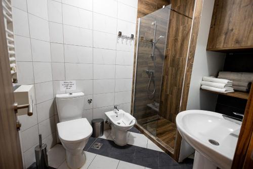 a bathroom with a toilet and a shower and a sink at Agape Villa Apartments in Novi Sad