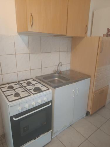 a kitchen with a stove and a sink at Tapolcai Tóparti Fészek in Tapolca