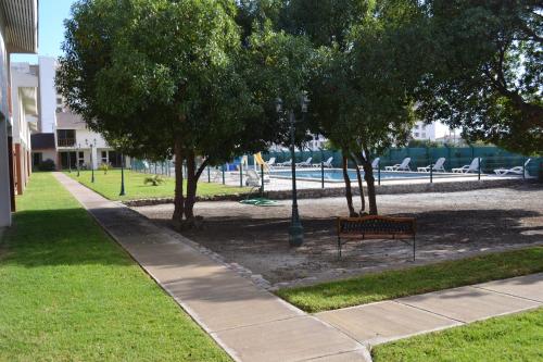a park with a bench and trees and a building at Cabañas Las Añañucas V in La Serena