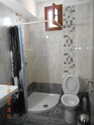 a bathroom with a toilet and a sink and a shower at Dimitra's Apartments in Olympiaki Akti