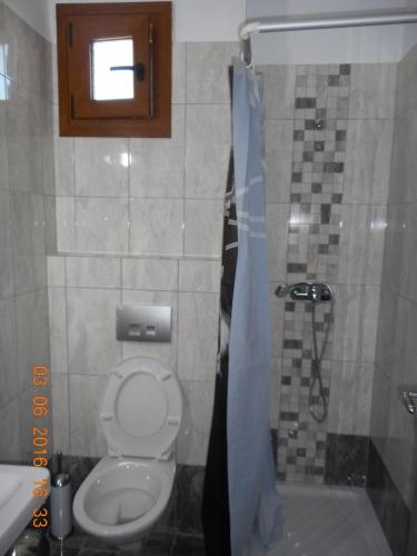 a bathroom with a toilet and a shower at Dimitra's Apartments in Olympiaki Akti