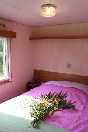 Φωτογραφία από το άλμπουμ του Camping de Trezulien σε Douarnenez