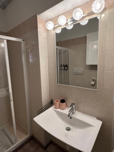 a bathroom with a sink and a shower and a mirror at La casa ai Laghetti in Montorio Veronese