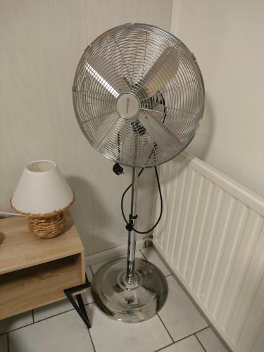 un éventail en argent posé sur le sol à côté d'une lampe dans l'établissement Le Jardin des Mazades - Cosy T2 - Parking - Wifi Fibre Gratuit, à Champcevinel