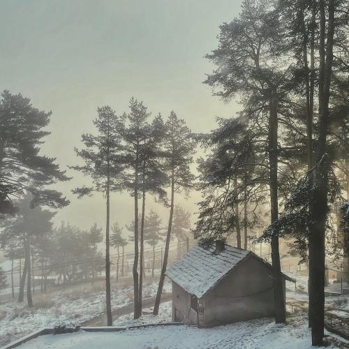 a small house in the snow next to some trees at Premium Studio Apartment in Private Villa Nisim in Batak