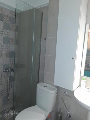 a bathroom with a toilet and a shower and a sink at Melodia Lefkada Apartment 3 in Nikiana