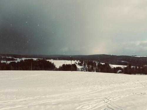 a snow covered field with trees in the background at Apartmán Mařinka in Říčky