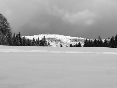 a black and white photo of a snow covered field at Apartmán Mařinka in Říčky