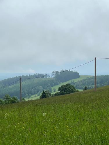 a field of green grass with a fence in the background at Apartmán Mařinka in Říčky