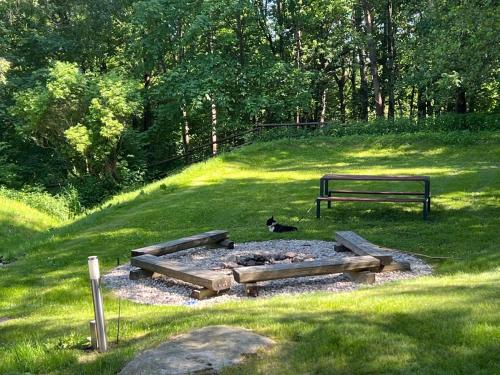 a fire pit with a bench and a cat in a park at Apartmán Mařinka in Říčky