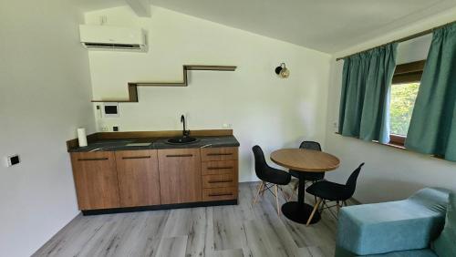 a kitchen with a sink and a table with chairs at Căsuțele bucuriei in Pucioasa
