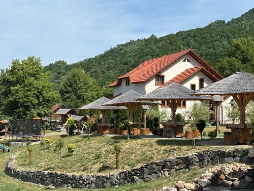 a house with a garden and some umbrellas at Pensiunea Valea Branzei in Năneşti