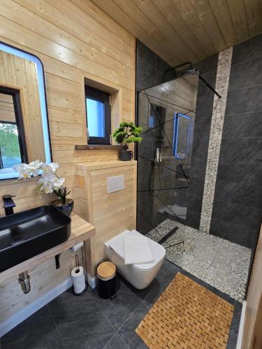 a bathroom with a toilet and a sink and a shower at Bella Vista Bungalow in Turda