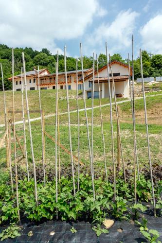 Zahrada ubytování Agriturismo Fattoria Ortoalpino