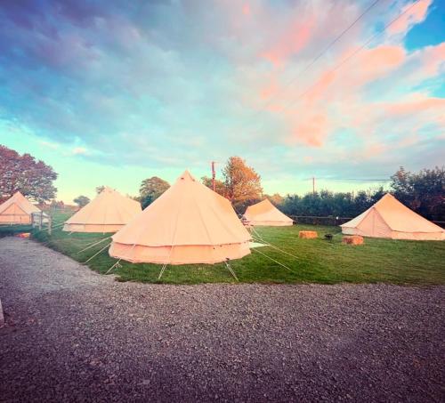 Fotografie z fotogalerie ubytování Infinite Sky camping v destinaci Moffat