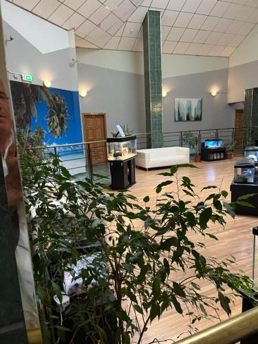 a large lobby with a couch and a plant at Narva Kangelaste 2 Apartments in Narva
