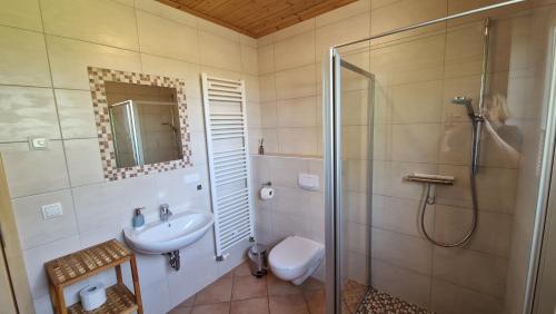 a bathroom with a shower and a sink and a toilet at Ferienhaus Seestern in Altefähr