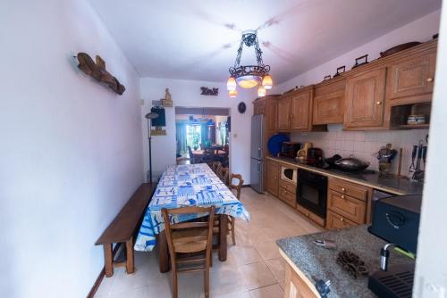 Flic en Flac beach, Mauritius, between nature and comfort