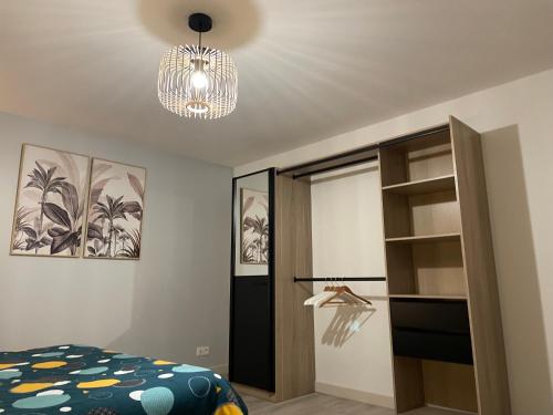 a bedroom with a bed and a chandelier at Gîte les 3 eucalyptus in Cluny