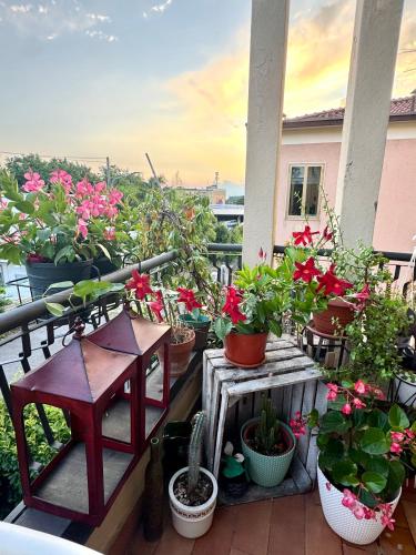 Μπαλκόνι ή βεράντα στο Serenity B&B