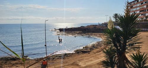 a beach with a palm tree and the ocean at Relax & Sea Apartment - Cabo Cervera - Torrevieja in Torrevieja
