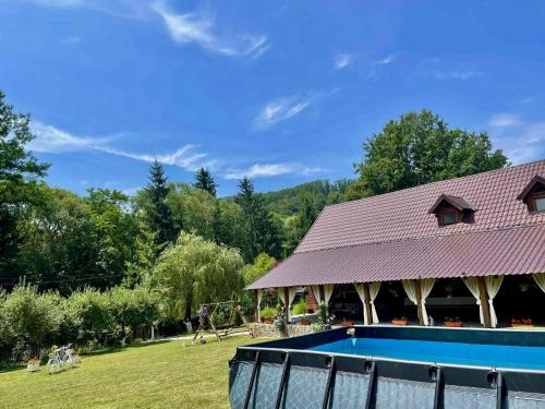 a house with a swimming pool in a yard at Cabana Oana 5-bedrooms chalet in Arad