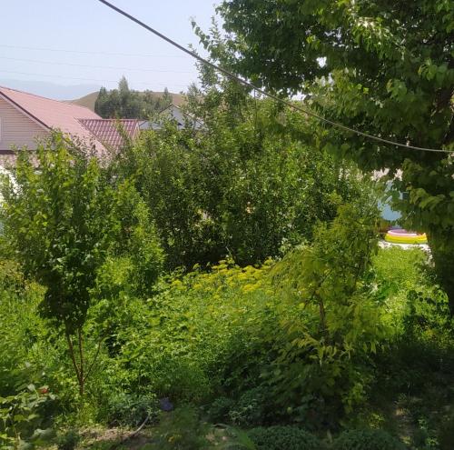 Fotografie z fotogalerie ubytování Guest house USMAN v destinaci Kazarman