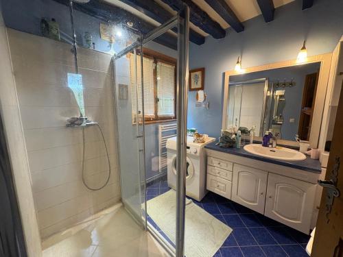 un bagno con doccia, WC e lavandino di Charming house surrounded by nature a Courtonne-la-Meurdrac