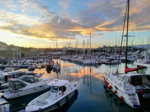 Séjour face au Vieil Antibes avec parking photo 7