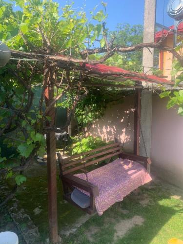 Taman di luar Casa Putna
