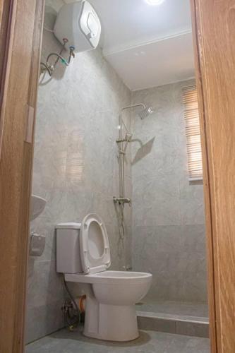 a bathroom with a toilet with a shower and a shower at Correct Residence and Resort in Abuja