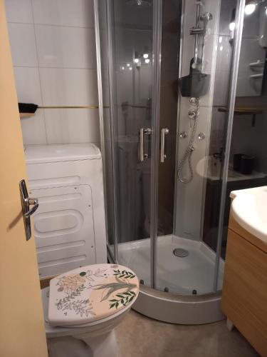 a bathroom with a shower and a toilet at Appartement Zen in Eaux-Bonnes