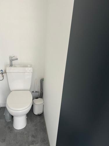 a bathroom with a white toilet and a sink at Ma Bro - ERDIVINES in Erdeven