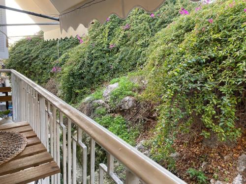 Cozy Acropolis backyard haven