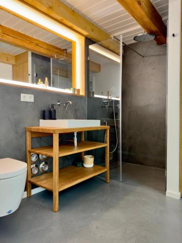 a bathroom with a sink and a toilet at Westertilli Middelhuus - modernes, luxuriöses Wohngefühl in Pellworm