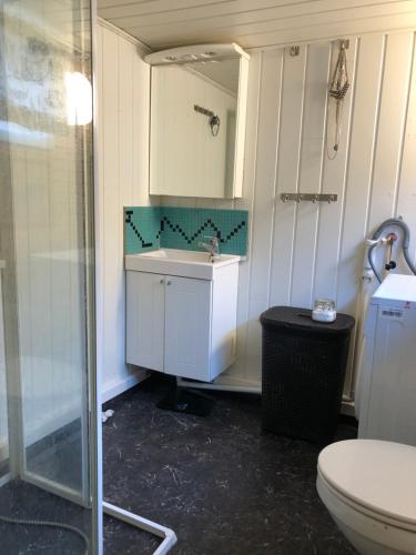 Un baño con ducha, lavabo e inodoro. en Midnight Sun Road, en Bodø