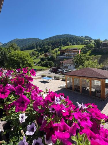 a bunch of pink flowers in front of a building at Pension Wirt am Bach in Terento