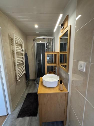 a bathroom with a sink and a shower at Petit nid pour 4 personnes-hyper centre in Niort